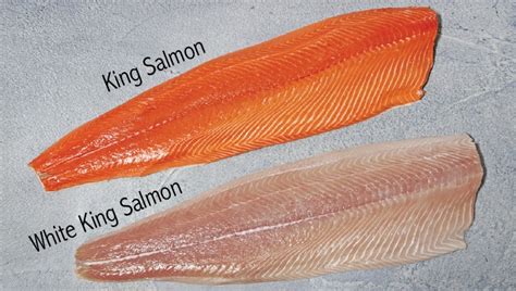white salmon fish|White King Salmon – The Rare & Exquisite Ivory Salmon.